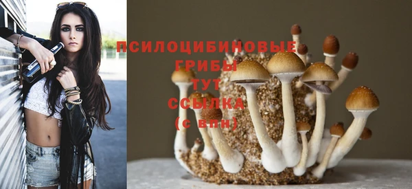 мяу мяу мука Няндома