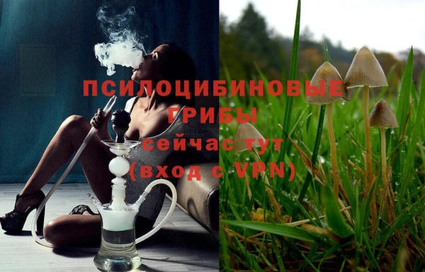 хмурый Нягань