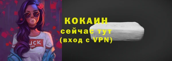 мяу мяу мука Няндома
