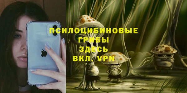 хмурый Нягань
