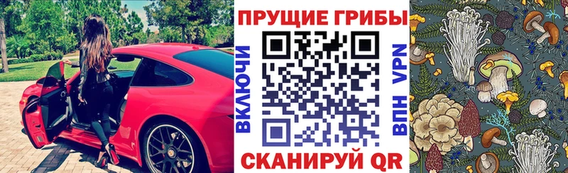 Псилоцибиновые грибы Psilocybine cubensis  где продают наркотики  Починок 